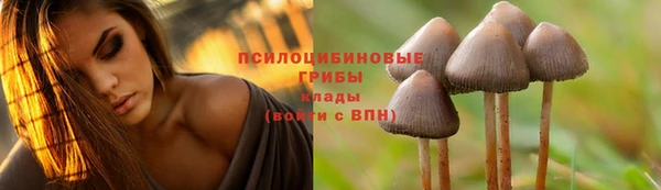 таблы Богородск