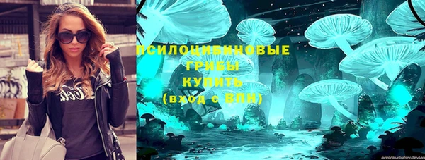 стафф Баксан