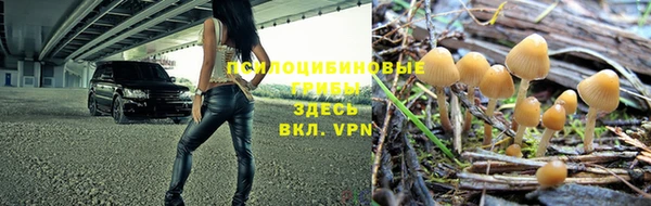стафф Баксан